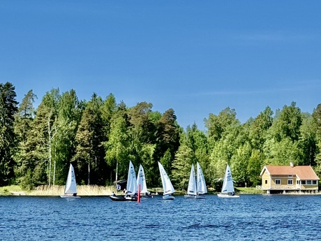 Petra Eriksson