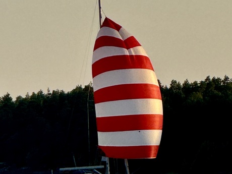 Petra Eriksson